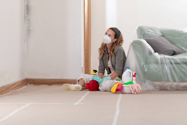 Reliable Mold Inspection contractor in Princeton Junction, NJ by WQB Mold Removal